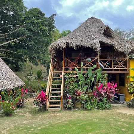 Ecohostal Palmares Del Rio Guachaca Exterior foto