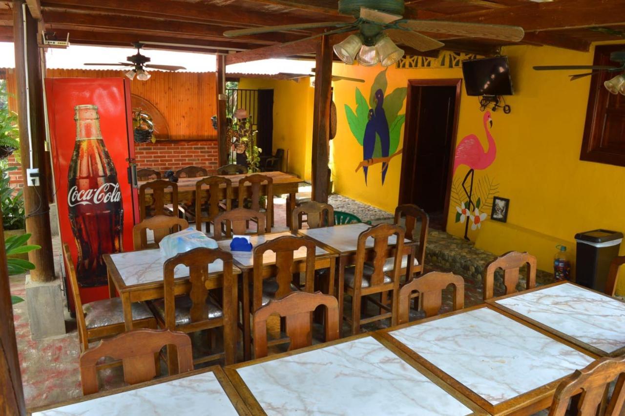 Ecohostal Palmares Del Rio Guachaca Exterior foto