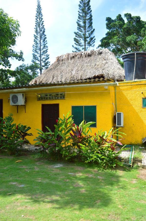 Ecohostal Palmares Del Rio Guachaca Exterior foto