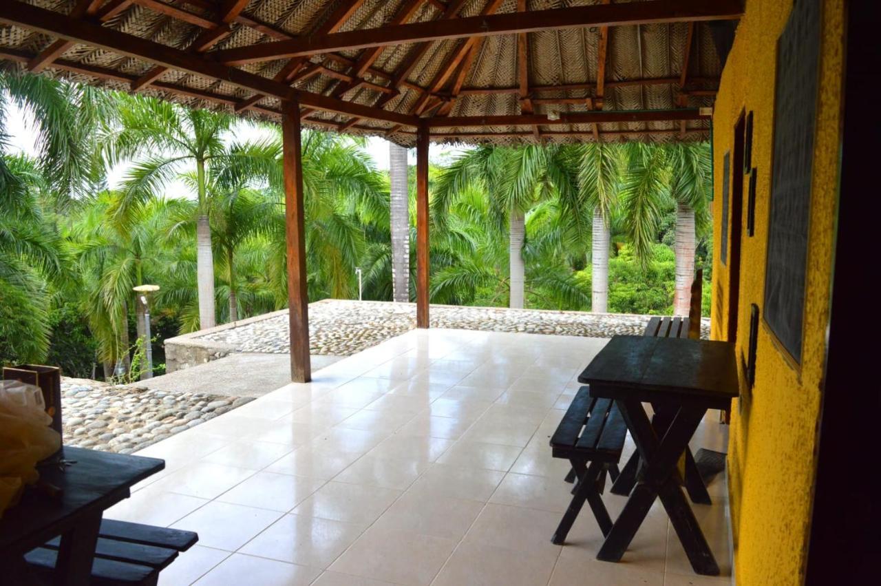 Ecohostal Palmares Del Rio Guachaca Exterior foto