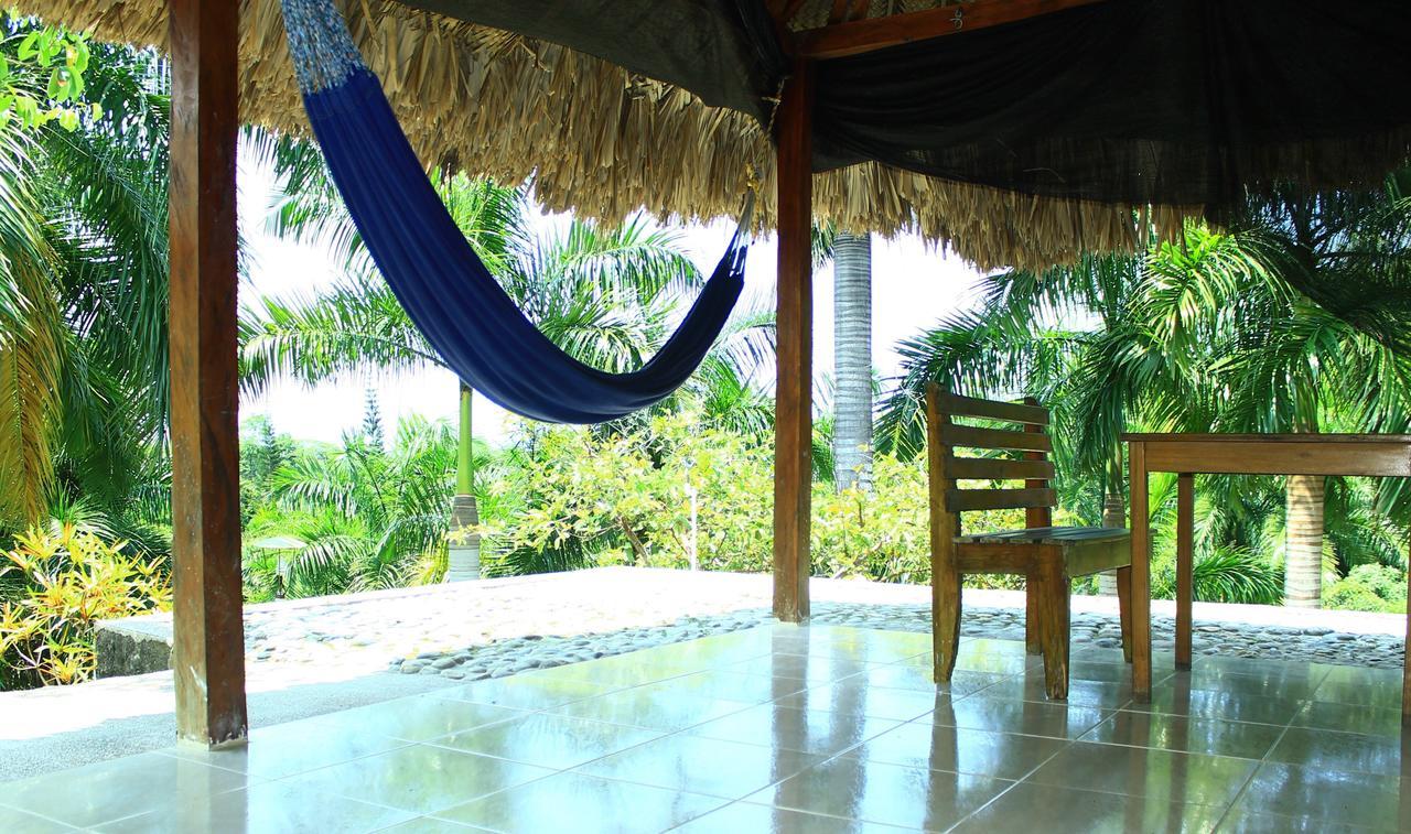 Ecohostal Palmares Del Rio Guachaca Exterior foto